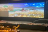 20. října 2025 - ŠD kino Motani_2